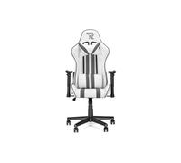 Chaise Gaming RANQER Felix - Fauteuil de Bureau Ergonomique PRO - Dossier Inclinable & Coussins Lombaires - Blanc / Gris
