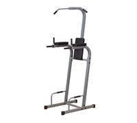 Chaise Romaine Vertical Knee Raise Chin Dip PVKC83X