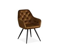 Chaise Salle à Manger Velours Marron Design Moderne Marron G