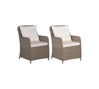 Vidaxl Chaises D'extã©Rieur Avec Coussins 2 Pcs Rã©Sine Tressã©E Marron Marron