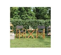 vidaXL Chaises de metteur en scène pliantes Bois teck massif Lot de 2