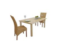 Chaises à manger - vidaXL - Lot de 2 - Rotin authentique - Bois massif - Style contemporain