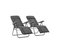 vidaXL Chaises pliables de jardin avec coussins 2 pcs Gris