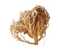 Chajarat Mariam - Rose de Jéricho Séchée 100g | Plante Traditionnelle à Infusion - Usage Ancestral Féminin