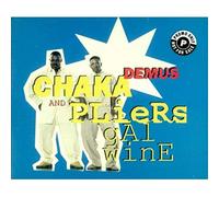 Chaka Demus and Pliers - Gal Wine
