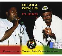 Chaka Demus & Pliers - Every Little Thing She. [Import]