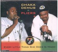 Chaka Demus & Pliers - Every Little Thing She. [Import]