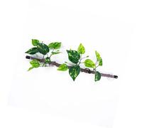 CHAKAE Aquariums Reptiles Grimpant Vigne Terrarium Végétal Poissons Poisson Décoration Terrarium pour Les Lézards Amphibiens Serpent Reptiles Décor