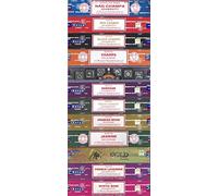 Chakra Tree Satya Bangalore (BNG) Lot de 12 bâtons d'encens Nag Champa, Red Champa, Black Champa, Champa, Super Hit, Darshan, Neem, Musc Arabe, Jasmin, Or, Lavande française, Rose mystique