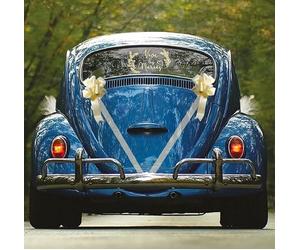 Chaks 1425-01, Kit déco Voiture Vive Les Mariés 6 pièces, Ivoire
