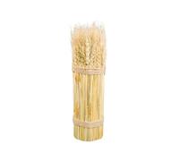Chaks 80594, Botte Epi de Blé naturel 26cm