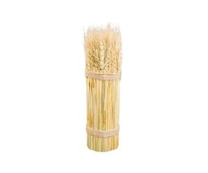 Chaks 80594, Botte Epi de Blé naturel 26cm