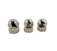 Chaks - Boule À Neige Oiseaux TÊTE Mort 7X9CM - Décoration spécial Halloween - Thème(s) : Citrouille Chic