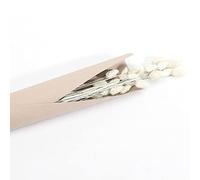 Chaks - Bouquet PHALARIS SÉCHÉS Misty 64CM Blanc