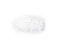 Chaks Costumes et Mariage Chaks 0702-00, Pochette 10g de Plumes 5-10cm, Blanc by