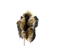 CHALCOPYRITE, QUARTZ, SIDÉRITE - Pierre Naturelle en Provenance de France, Villefranche d'Albigeois - Cristaux de Chalcopyrite, Quartz et Sidérite, Multicolore 721.1 ct - Certificat d'Authenticité Inc