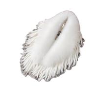 Châle d'hiver épais avec pompon en peluche pour mariage, couleur n°4, taille unique