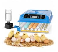 Chalixion couveuse oeuf automatique 36 œufs, 5 modes de couvaison auto, régulateur eau externe, réglage température, retournement œuf auto, affichage couvaison, pour poules canards oies (Bleu)
