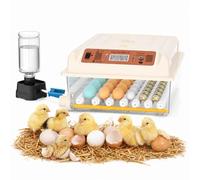 Chalixion couveuse oeuf automatique 36 œufs, 5 modes de couvaison auto, régulateur eau externe, réglage température, retournement œuf auto, affichage couvaison, pour poules canards oies (Blanc)