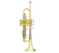 Challenger I Sib Vernie - BS3137-1-0