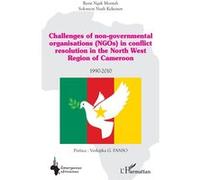 Challenges Of Non-Governmental Organisations (Ngos) In Conflict Resolution In The North West Region Of Cameroon (1990-2010)