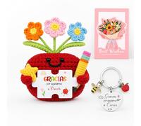 Chalyna Set Cadeau d'Appréciation des Enseignants Comprend Crochet Positif, Porte-Clés avec des Phrases de Gracias por Ayudarme a Crecer, Carte de Vœux pour Anniversaire Remise Diplômes(Pomme)