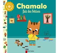 Chamalo fait des bêtises