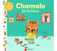 Chamalo fait des bêtises