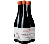 Chambolle-Musigny 1er Cru Les Chatelots - Rouge 2021 - Domaine Didier Amiot - Grand Vin Rouge de Bourgogne (3x75cl)