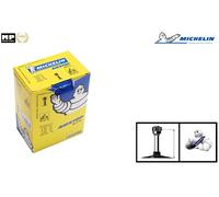 Tuyau MICHELIN DET10 CG13