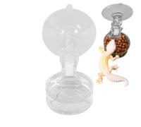 Chameleon Feeder, Small Reptile Feeder Suction Cup, 1.57x1.57 inches Portable Pet Keeping Habitat Water Container, Easy-Clean for Tree Frogs, Geckos, Lizards, Spiders