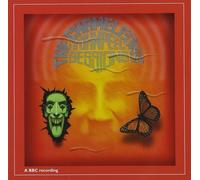 Chameleons - John Peel Sessions