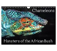 Chameleons Monsters of the African Bush (Wall Calendar 2026 DIN A4 landscape), CALVENDO 12 Month Wall Calendar: Striking Chameleon Portraits
