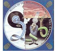 Chameleons - Return Of The Roughnecks: The Best Of The Chameleons by Chameleons (1999) Audio CD