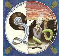 Chameleons - Return The Roughnecks: Best of