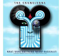 Chameleons, the - What Does Anything Mean. [Import]