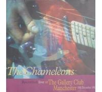 Chameleons UK - Live at The Gallery Club