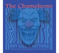CHAMELEONS - WHY CALL IT ANYTHING - CD - K72z
