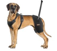 CHAMIN Attelle de hanche pour chien avec design portable pour le dos, soutien pour dysplasie de la hanche, arthrite, limpage de la jambe arrière, réduit les douleurs à la hanche et accélère la