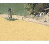 Champ de blé BUSCH H0