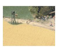 Champ de blé BUSCH H0