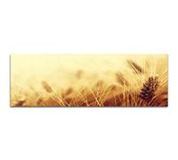 Champ de blé récolte automne 150 x 50 cm images sur toile et châssis panoramique sur toile et châssis prêt à être - Nos Photos sur toile offrent ungewöhnlichen formats et la pression très détaillé en jusqu'à 100 Mega Pixels de photos en haute.