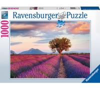 Champ de lavande à l'heure d'or Ravensburger 16724