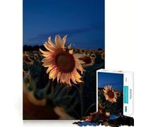 Champ de tournesols au crépuscule Puzzle pour Adolescents 1000 pièces Jeu de logique Cadeau raffiné et de qualité supérieure 38x26cm