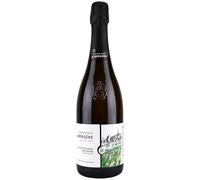 Champagne Blanc de Blancs Brut Nature Terres Blanches - Blanc - Champagne André Bergère (75cl)