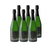 Champagne Blanc de Noirs Brut - Blanc - Champagne Claude Perrard (6x75cl)