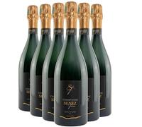 Champagne Blanc de Noirs Brut - Blanc - Champagne Senez Frères (6x75cl) HVE