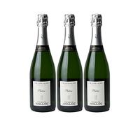 Champagne Premier Cru Brut Platine - Blanc - Champagne Nicolas Maillart (3x75cl)