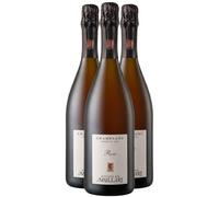 Champagne Premier Cru Extra Brut - Rosé - Champagne Nicolas Maillart (3x75cl)