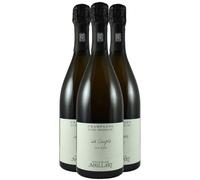 Champagne Premier Cru Les Coupés Franc de Pied - Blanc 2020 - Champagne Nicolas Maillart (3x75cl)